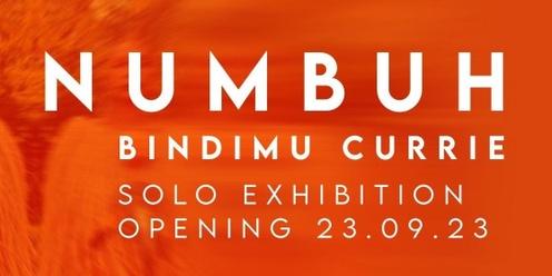 Numbuh: Bindimu Currie Exhibition Opening