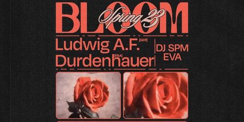 Bloom ▬ LUDWIG A.F (GER) + Durdenhauer (FRA)