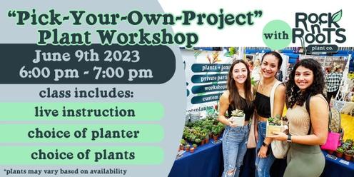 PICK-YOUR-OWN-PROJECT Workshop at Rock n' Roots Plant Co. (Pawleys Island, SC)