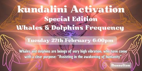 Tuesday 27th Feb - KA & Inner Dance (Special Whales & Dolphins Edition)