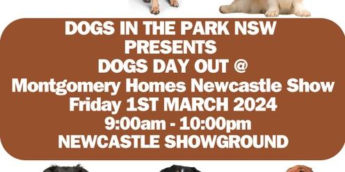 Dogs in the park NSW Newcastle Show Friday 1st March 2024