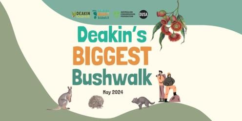 Australia's Biggest Bushwalk Gardiners Creek Circut Trail