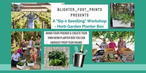 Sip 'n Seedling - Herb Garden Planter Workshop