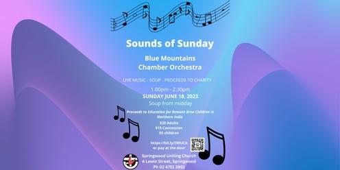 Sounds of Sunday:  Blue Mountains Chamber Orchestra