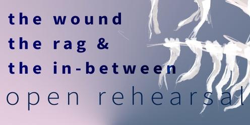 Open Rehearsal | The Wound, the Rag & the In-Between