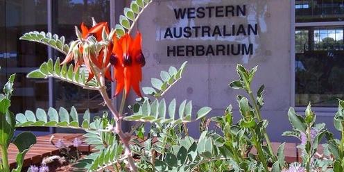 Tour of Western Australian Herbarium