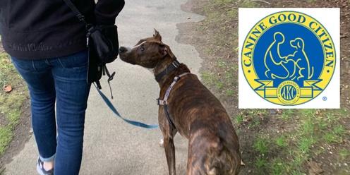 October AKC Canine Good Citizen Testing in West Roxbury