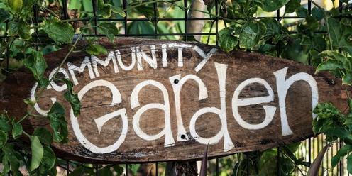 Community Garden Planning 1pm