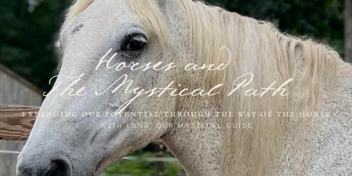 Horses and the Mystical Path: Expanding Our Potential Through the Way of the Horse