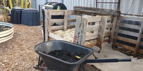 Which Compost is Best for You
