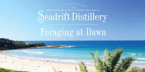 Seadrift Distillery - Foraging at Dawn Tour