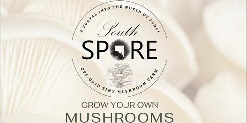 Book a Mushroom Workshop for 4-6 people 