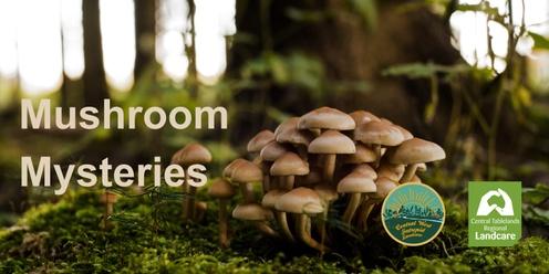 The Mushroom Mysteries: A Fungi Whodunit