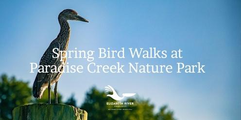 Spring Bird Walks at Paradise Creek Nature Park