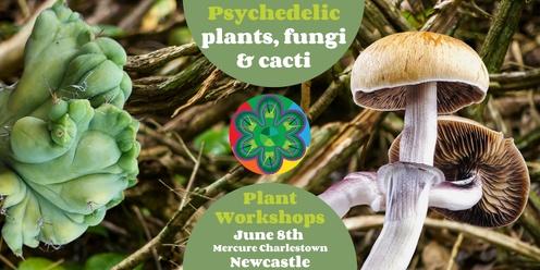 Psychedelic trees, fungi and cacti workshops, Newcastle