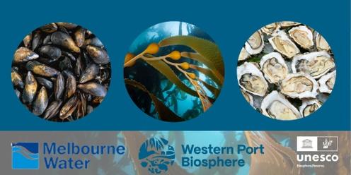 Sustainable Aquaculture in Western Port