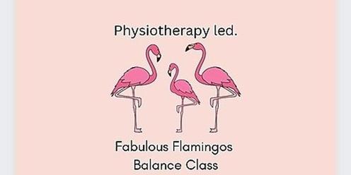 Fabulous Flamingos Balance Classes