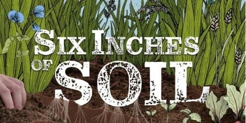 Six Inches of Soil Screening 