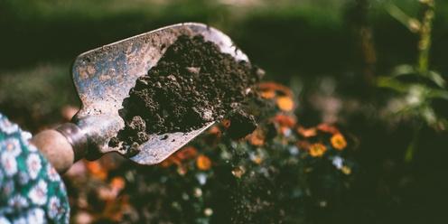 Building and caring for healthy soil