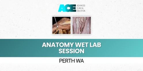 Anatomy Wet Lab Session - Whole body (Perth WA)