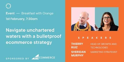 Navigate uncharted waters with a bulletproof ecommerce strategy