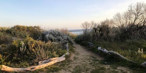 Nature Immersion and Nature Journaling - Ricketts Point