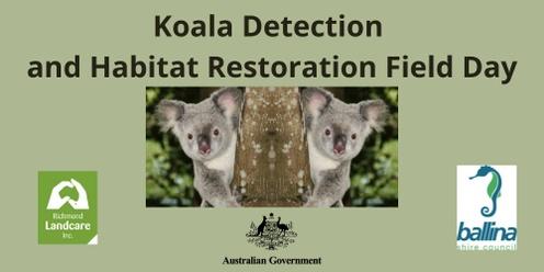 Koala Detection and Habitat Restoration Field Day
