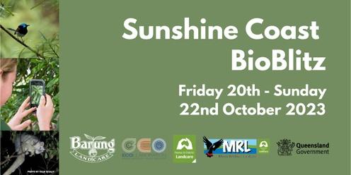The Sunshine Coast BioBlitz 2023 - ECOllaboration