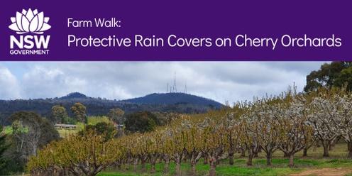 Save the Date: Protective Rain Covers on Cherry Orchards