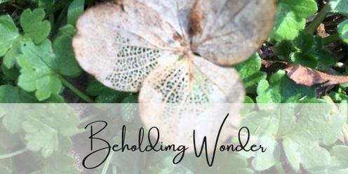 Beholding Wonder 