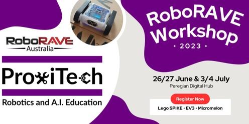 Peregian Digital Hub RoboRAVE Workshop