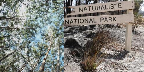 Sundowner Series: Leeuwin Naturaliste National Park - at a crossroads