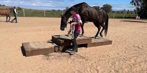 Booral Feb Aussie Obstacles & Horsemanship Mini Challenge