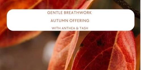 Gentle Breathwork - Autumn Offering