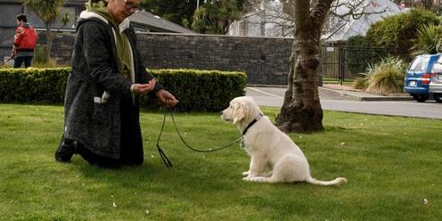 Dog Training- Life Skills Course- February 2024
