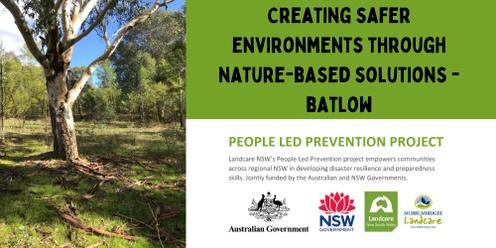 Creating Safe Environments through Nature-Bases Solutions - Batlow