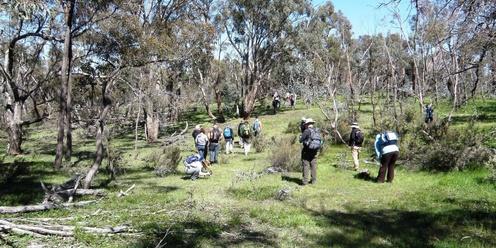 JC Griffin Reserve - General Guided Visit - Saturday 7 October 2023