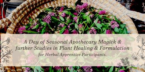 Medicine Wheel - Herbal Apprentice Advanced 1 Day 