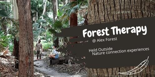 Forest Therapy at Alex Forest 1 Oct 23