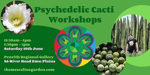 Psychedelic cacti workshops