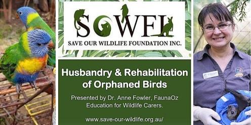 Husbandry and Rehabilitation of Baby Birds presented by Dr. Anne Fowler