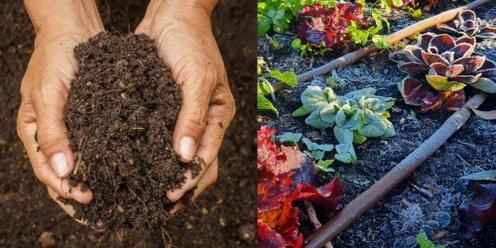 Healthy soils for growing great veggies
