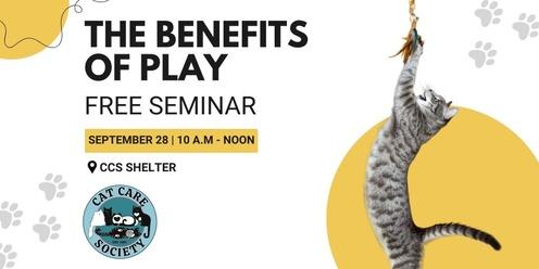 Seminar: The Benefits of Play