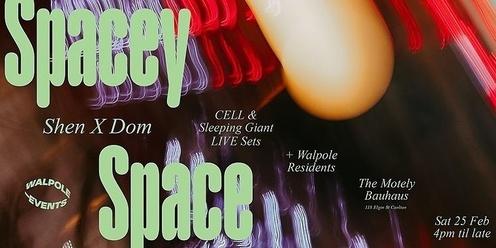 Walpole with Spacey Space