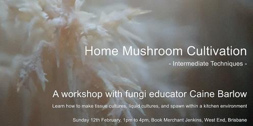 Home Mushroom Cultivation - Intermediate Techniques - Feb 12th