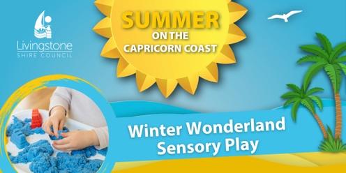 Winter Wonderland Sensory Play