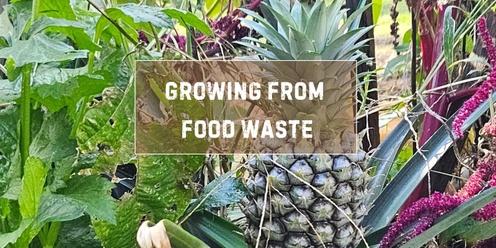 Growing from Food Waste
