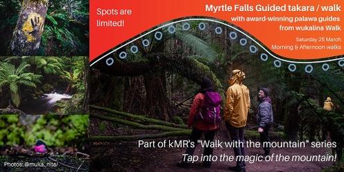 Myrtle Falls Guided takara/walk with award-winning palawa guides from wukalina Walk