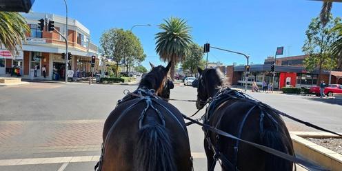 Dalby Town Horse and Carriage Tours