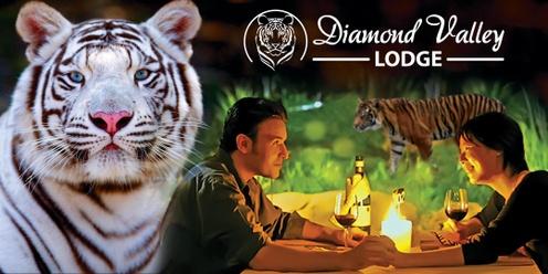 Dinner with Tigers - Evening Under the Stars!
